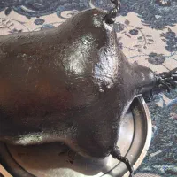 هیزه فروشی