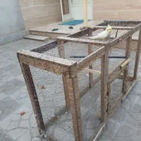قفس|لوازم جانبی حیوانات|بجنورد, |دیوار