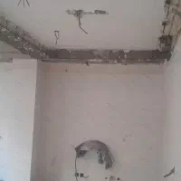 شاگرد گچکار