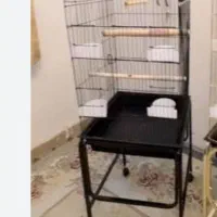 قفس عروس هلندی ۲عدد سیاه وسفید وبک عد قفس طرفه