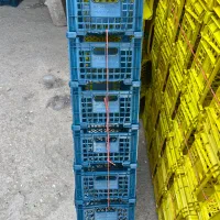 تولید کننده انواع سبدهای میوه|عمده‌فروشی|هشتگرد, تهران دشت|دیوار