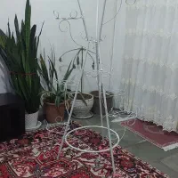 استند گل|کتابخانه، شلف، قفسه‌های دیواری|تبریز, |دیوار
