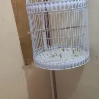 قفس پایه دار نو