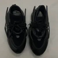 کفش|کیف، کفش، کمربند|دزفول, |دیوار