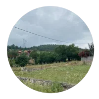 زمین