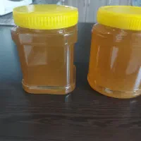 عسل طبیعی مستقیم از کندو دار خرید کنید دارویی