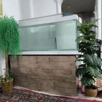 آکواریوم|ماهی|خرم‌آباد, |دیوار