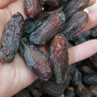 خرما درجه یک صادراتی