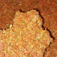 تفاله گوجه مناسب پرواربندی