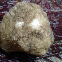 فسیل وسنگ|کلکسیون اشیاء عتیقه|گرگان, |دیوار