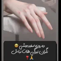 فروش کرم شب تایلندی