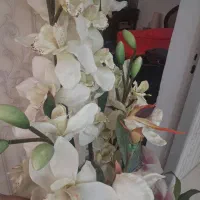 گل مصنوعی و گلدان|گل مصنوعی|مشهد, کارمندان دوم|دیوار