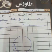 طلا