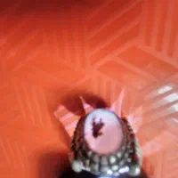 انگشتر شجر|کلکسیون اشیاء عتیقه|نهاوند, |دیوار