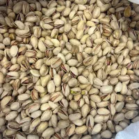 استخدام دو نیرو فروشنده و ادمین
