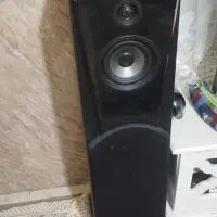 ی جف باند خانوادگی