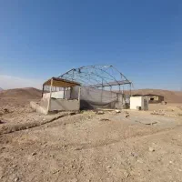 ۵۰۰ متر چهار دیواری مجوز گلخانه در خاوران|فروش دفتر صنعتی، کشاورزی، تجاری|خاوران, |دیوار