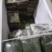 پخت روزانه سبزی خورشتی وغیره در دزفول.|خوردنی و آشامیدنی|اصفهان, باغ زرشک|دیوار