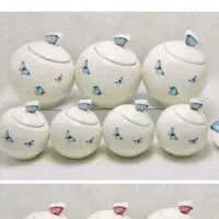 پاسماوری  ۱۲پارچه