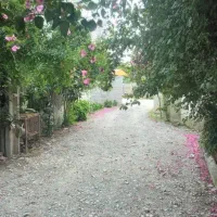 ویلا همکف  سند دار ۱۵۰ متری سرخرود