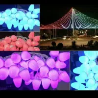 کرایه ریسه لامپ و نورافکن