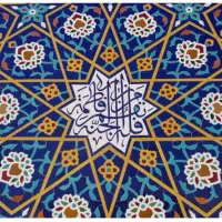 معمار مسلط به نرم افزارهای مربوطه