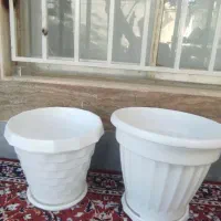 دوعدد گلدان درحدنو
