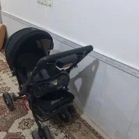 کالسکه|کالسکه و لوازم جانبی|الشتر, |دیوار