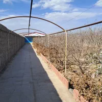 باغ-1000-متری-سند-تک-برگ-گل-مینا-کهریزسنگ
