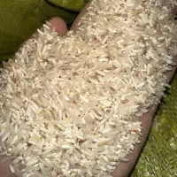 برنج فجر شکسته