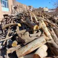 خریدار چوب درختان و چوب های سقفی|خدمات باغبانی و درختکاری|لردگان, |دیوار