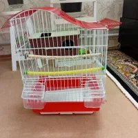 قفس فنج|لوازم جانبی حیوانات|نسیمشهر, |دیوار