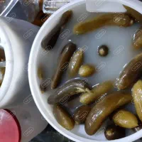 خیارشور دبه ی ۴ کیلویی خالص
