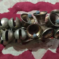 لوازم جانبی حیوانات