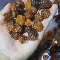 الوچه دودی عمده