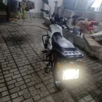 پیشرو 200طرح باکسر