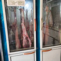 گوشت کهره بره درجه یک|خوردنی و آشامیدنی|شیراز, بید زرد|دیوار