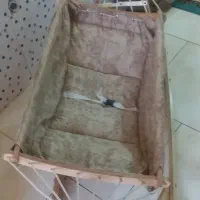 ننو درحدنو