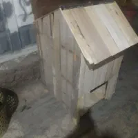 یک عدد کلبه سگ تازه ساخت ومرتب