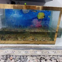 آکواریوم ماهی