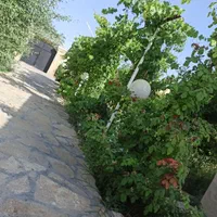 اجاره باغ ویلا در عسکریه|اجارهٔ کوتاه‌مدت ویلا و باغ|مشهد, میان ولایت|دیوار