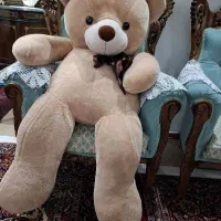 خرس بزرگ قد ۱۹۰