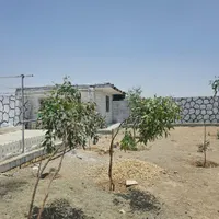 ۵۰۰ متر باغ تکمیل قیمت ۷۷۰ میلیون نقدو اقساط|فروش زمین و ملک کلنگی|اصفهان, ردان|دیوار