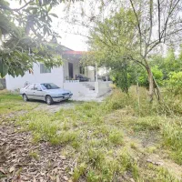 ویلاباغ-810-متری-پر-از-درختان-مرکبات