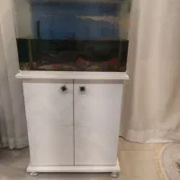 آکواریوم و دستگاه مسگری ورزشی