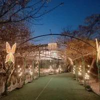 تالار شیشه ای طوس مشهد رویایی