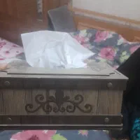 جای دستمال کاغذی