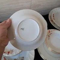 چینی زرین|ظروف سرو و پذیرایی|کرمانشاه, |دیوار