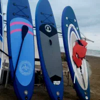 پدل برد در حد نو