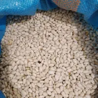 لوبیا چیتی درجه۱|خوردنی و آشامیدنی|تهران, شهرک طالقانی|دیوار